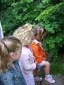 070612 skoalreiske beukers 007